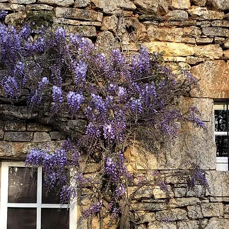 別荘 Les Follets Daglan