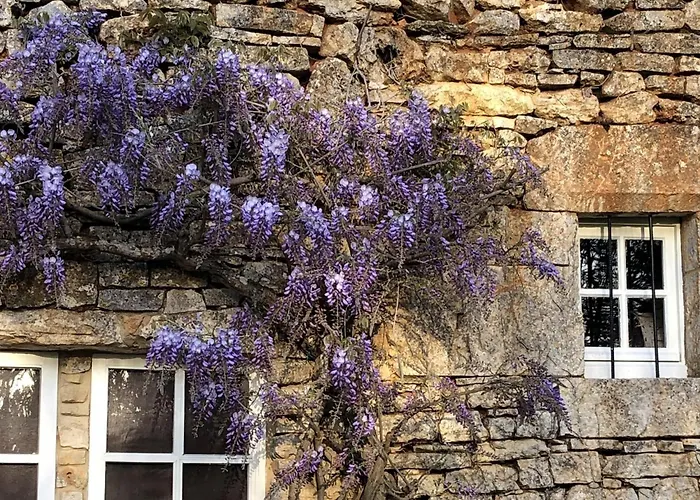 Feriehus Les Follets Daglan